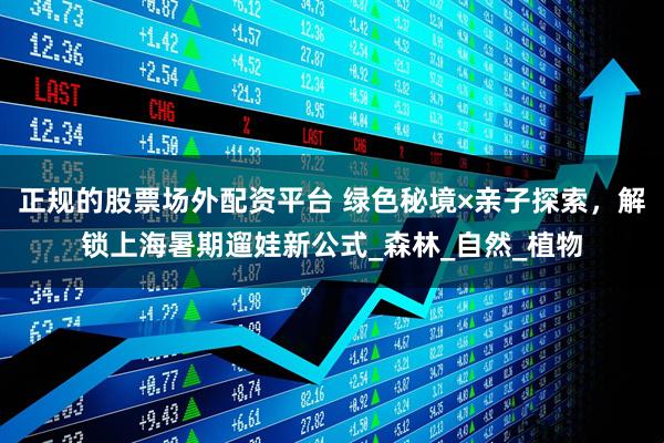 正规的股票场外配资平台 绿色秘境×亲子探索，解锁上海暑期遛娃新公式_森林_自然_植物