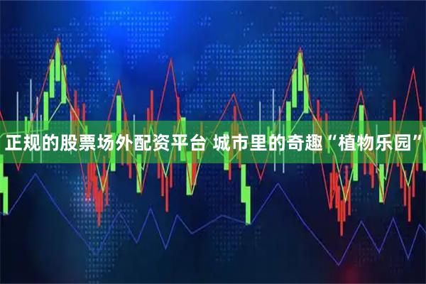 正规的股票场外配资平台 城市里的奇趣“植物乐园”