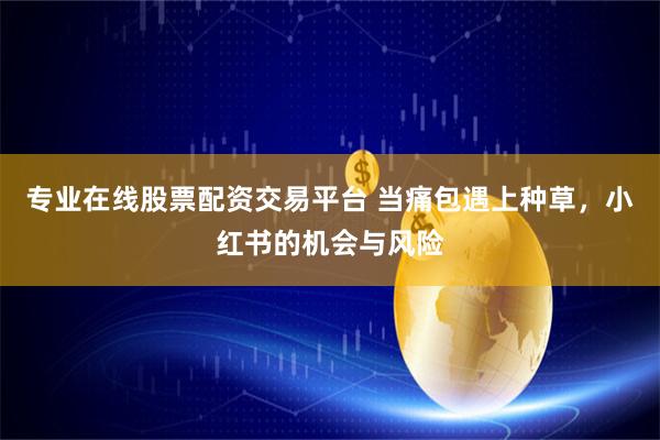 专业在线股票配资交易平台 当痛包遇上种草，小红书的机会与风险