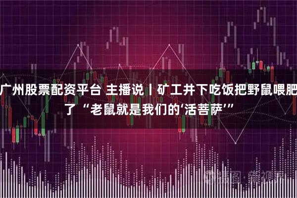 广州股票配资平台 主播说丨矿工井下吃饭把野鼠喂肥了 “老鼠就是我们的‘活菩萨’”