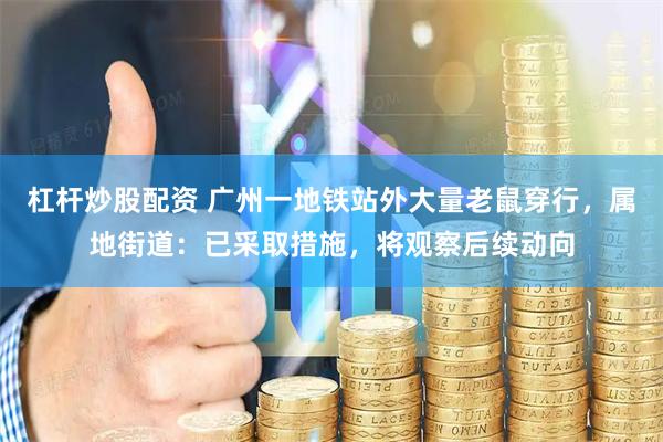杠杆炒股配资 广州一地铁站外大量老鼠穿行，属地街道：已采取措施，将观察后续动向